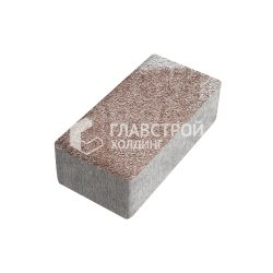 Тротуарная плитка 500х250х60, хаски на камне